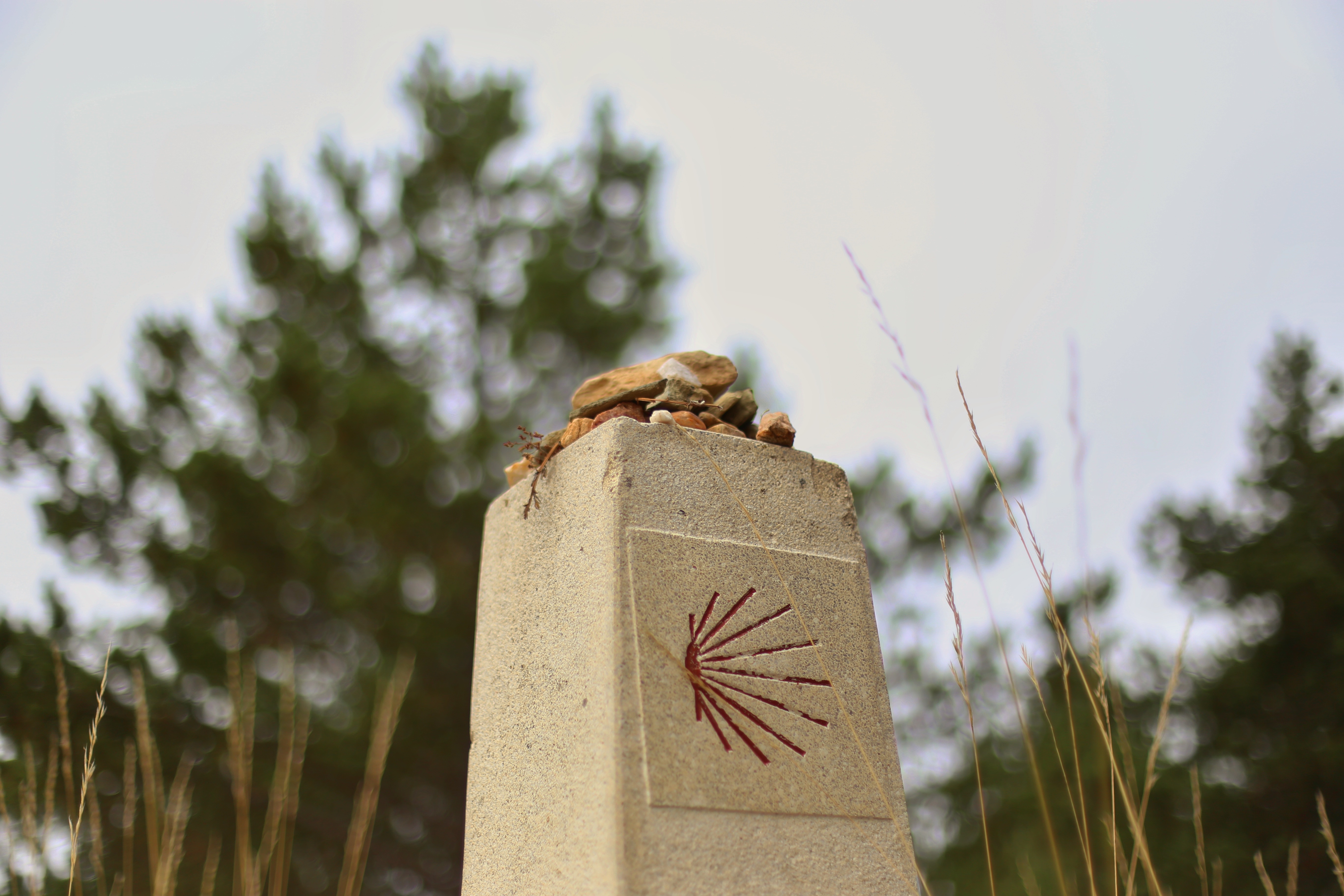 Camino de Santiago Trail